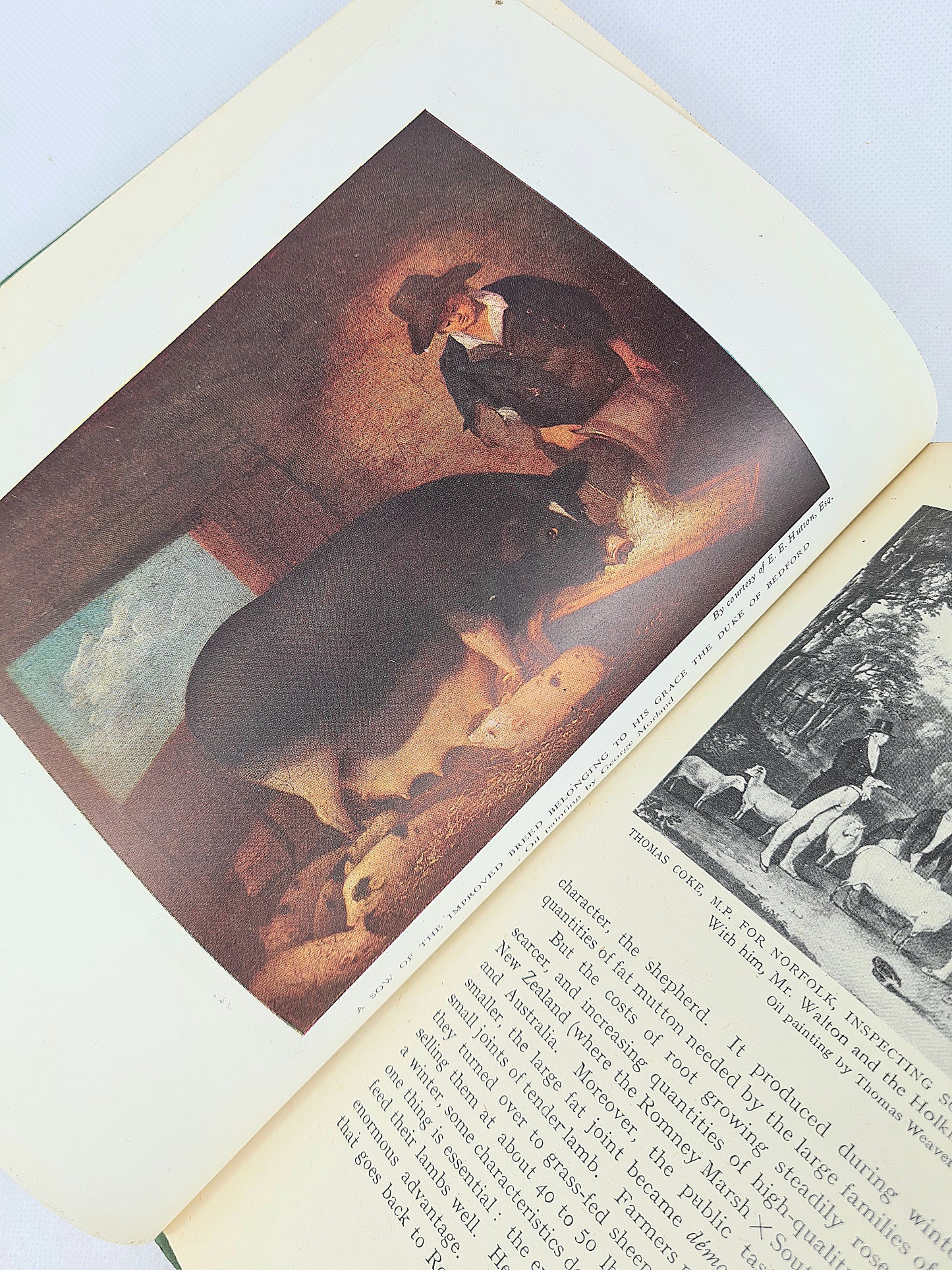 English Farming by Sir John Russell. Britain in Pictures Series. Vintage hardback book