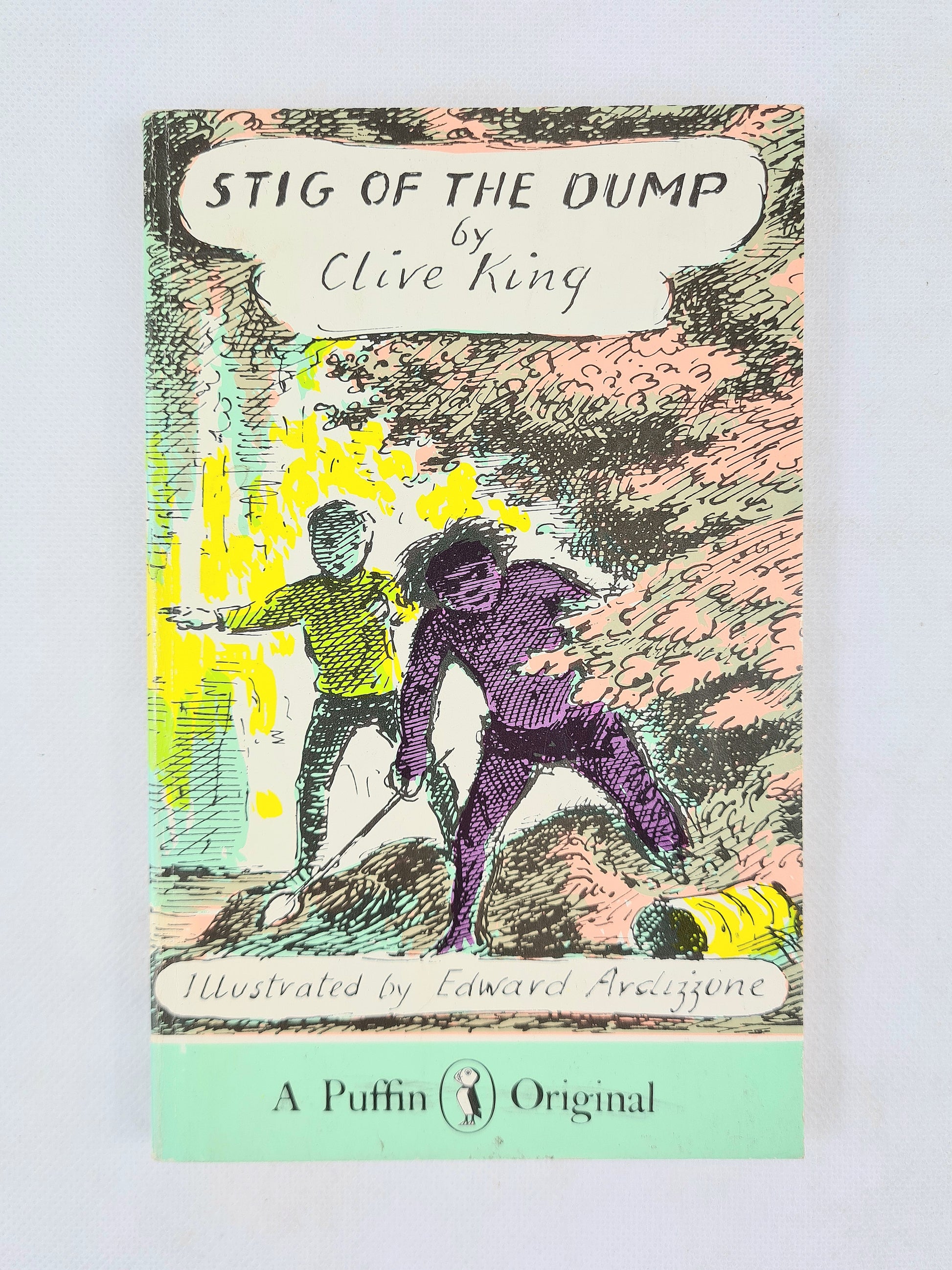 Book cover of 'Stig of the Dump' by Clive King with colorful illustration on a light gray background