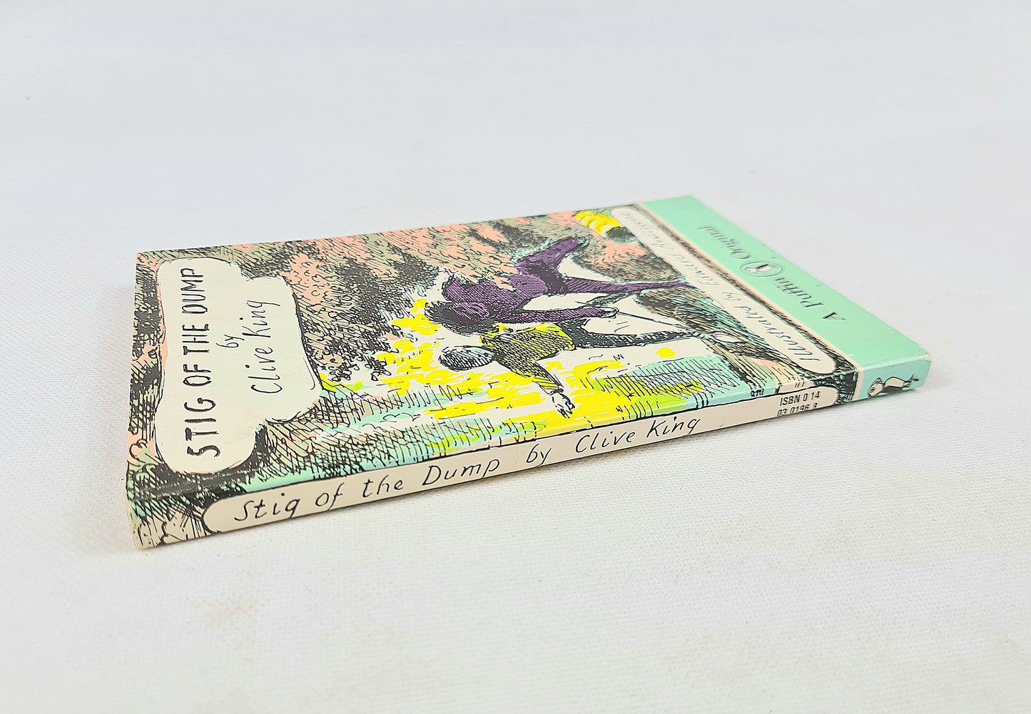 Stig Of The Dump by Clive King. Vintage children's book. Puffin Books