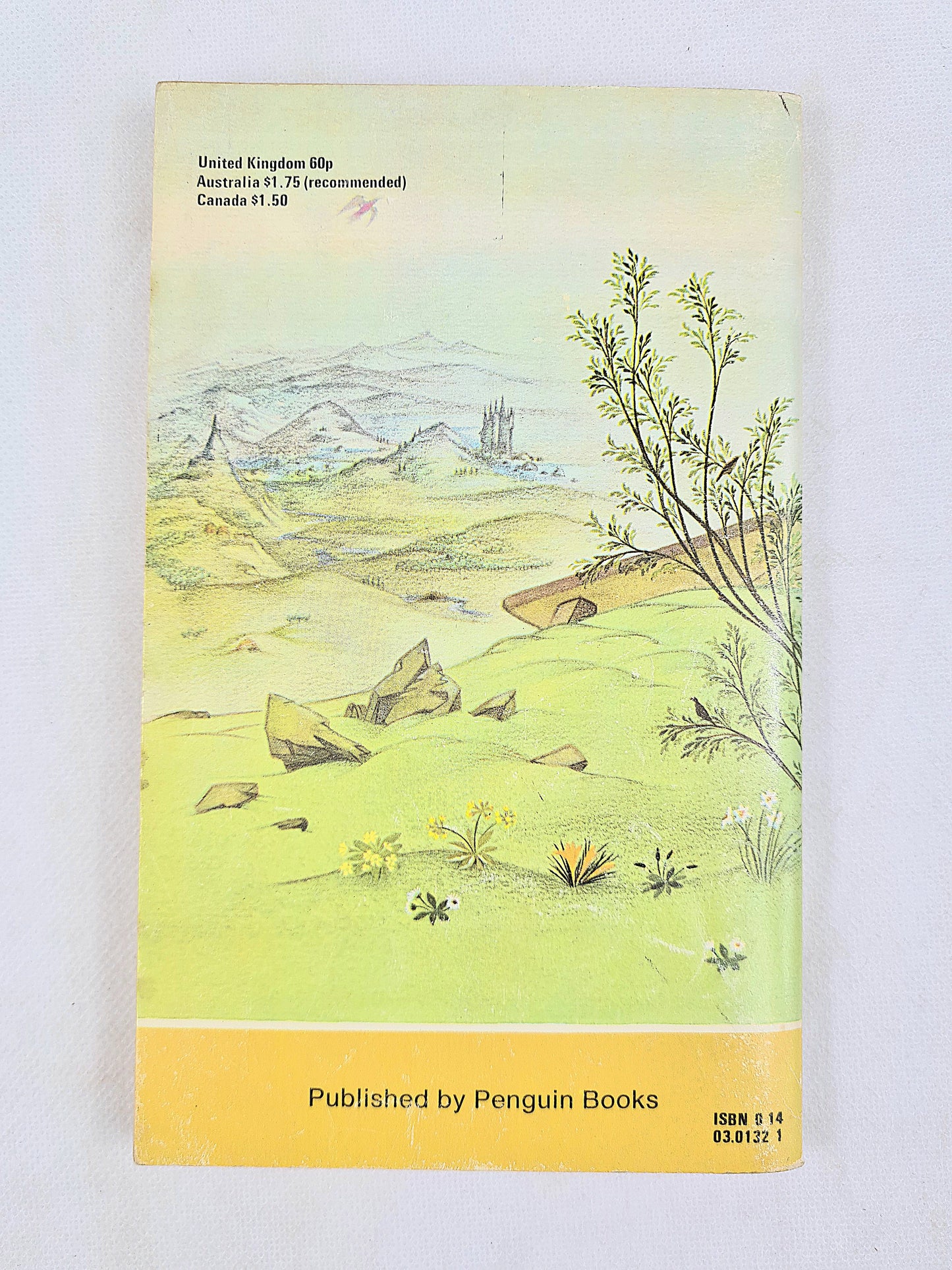 The Lion, the Witch and the Wardrobe by C.S Lewis. Vintage children's book. Puffin Books.