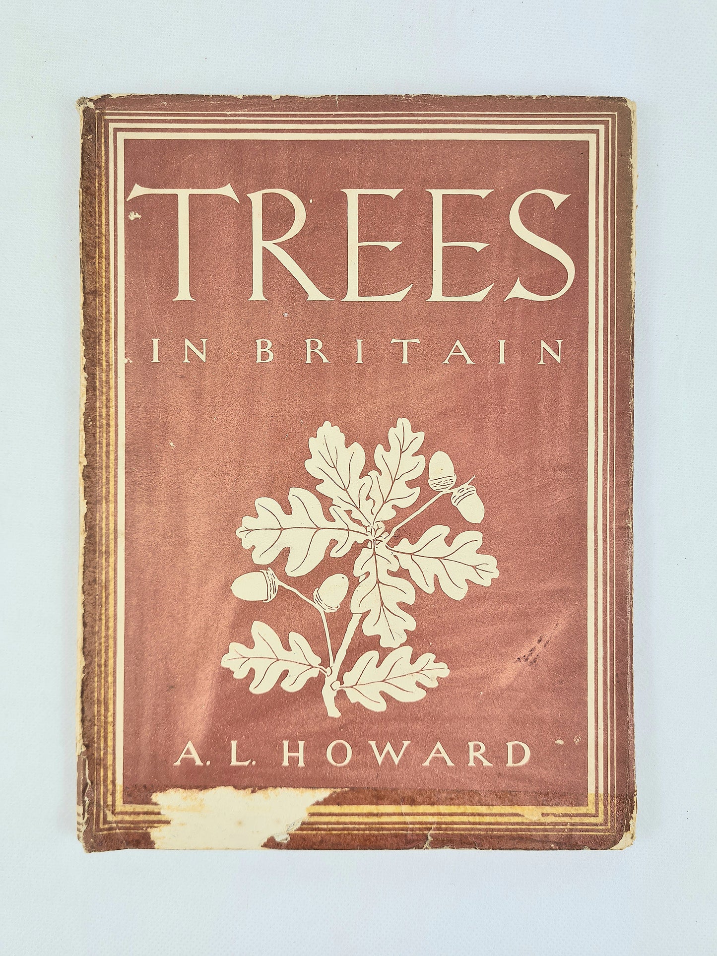 A vintage book titled 'Trees in Britain' by A. Howard, featuring a reddish-brown cover with cream-colored text and an oak leaf illustration, photographed against a light blue background.
