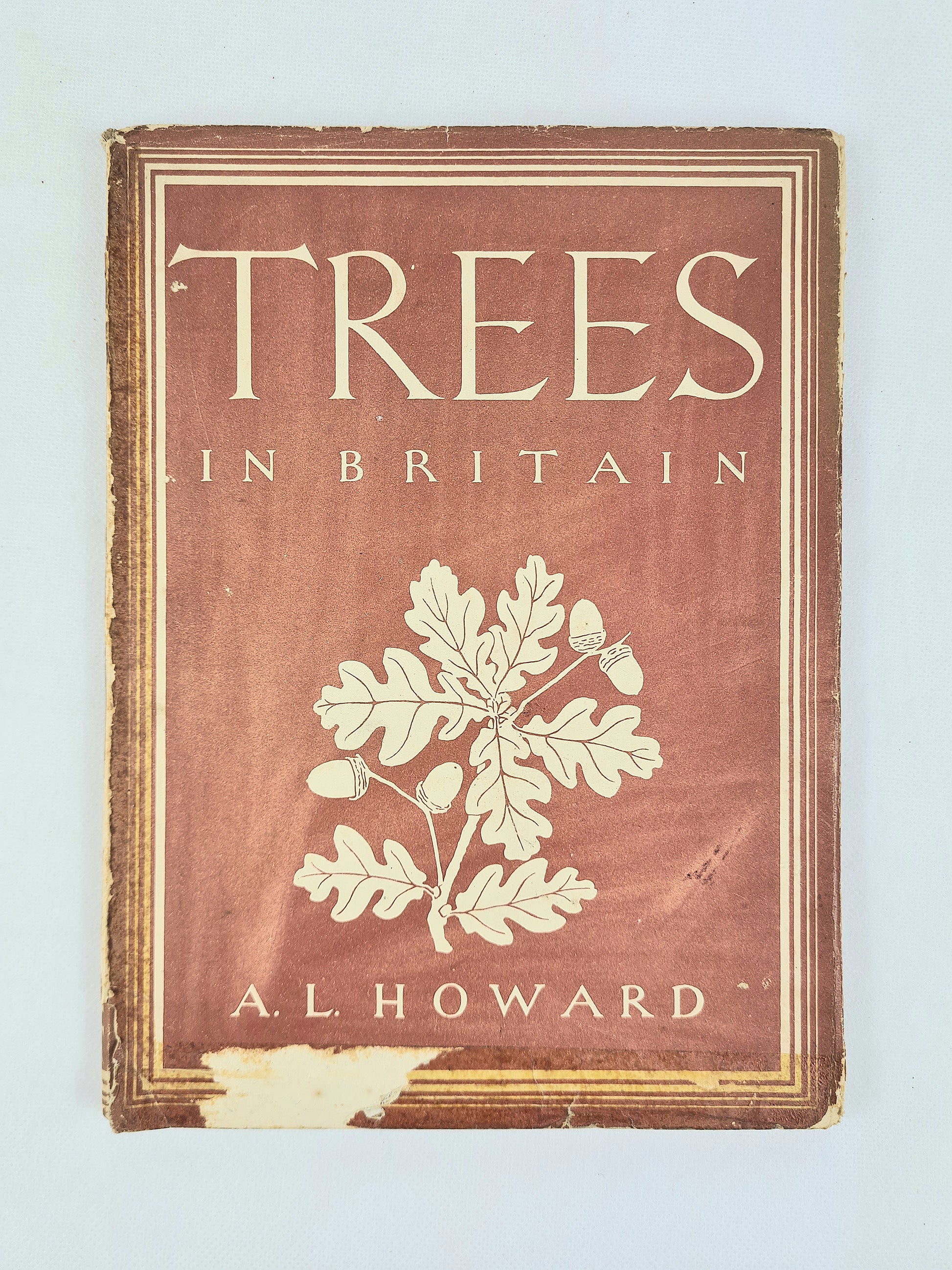 A vintage book titled 'Trees in Britain' by A. Howard, featuring a reddish-brown cover with cream-colored text and an oak leaf illustration, photographed against a light blue background.