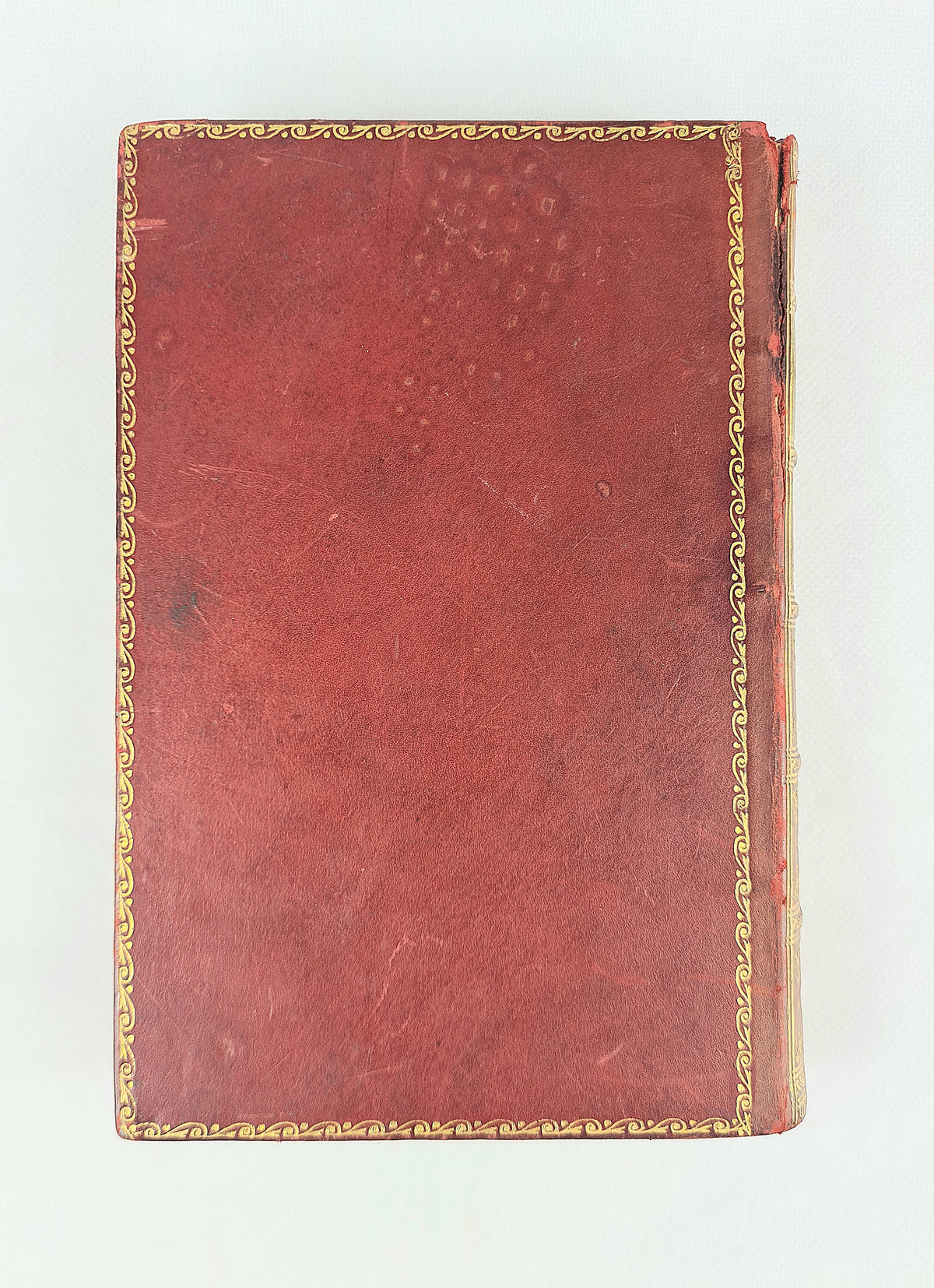 Animals I Have Known by Arthur H. Beavan. Leather-bound antique book