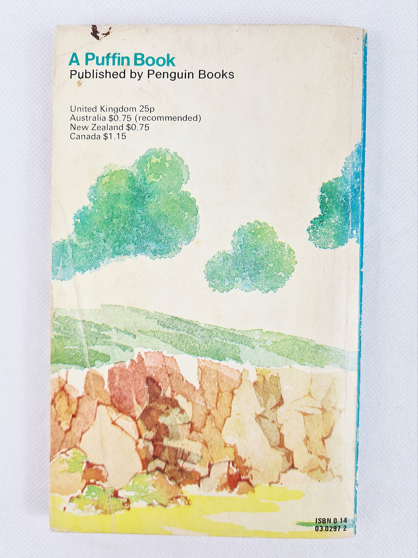Green Smoke by Rosemary Manning. Vintage childrens book 1973