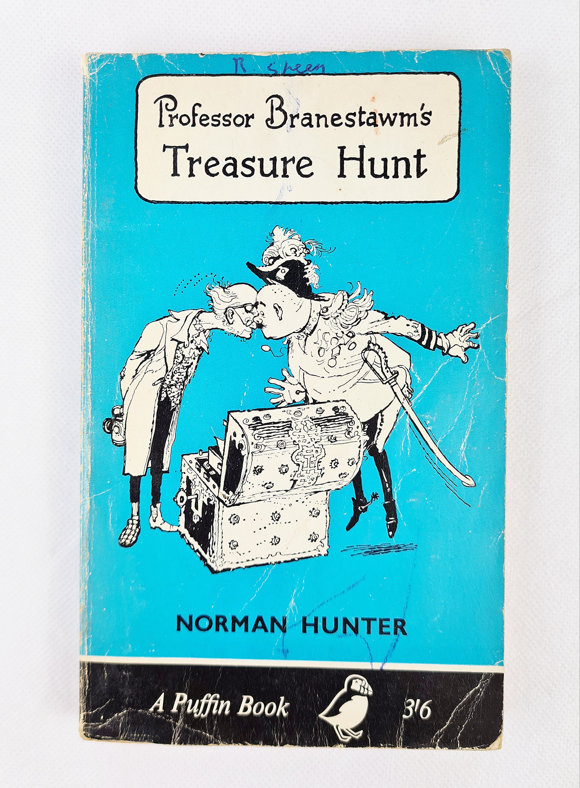 Proffesor Branestawm, vintage childrens book 