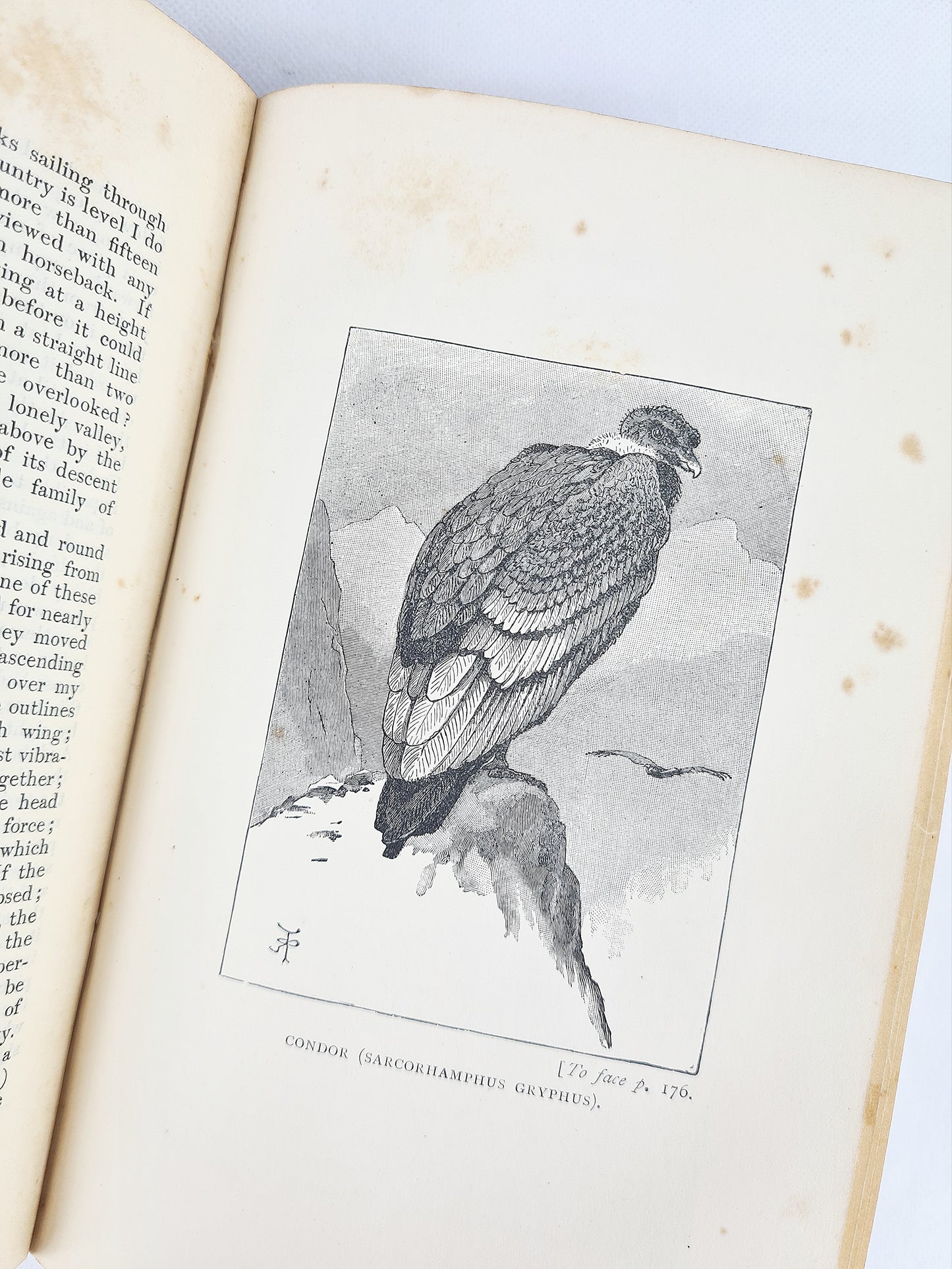 A Naturalists Voyage Around The World - Charles Darwin. Antique 1909 Edition