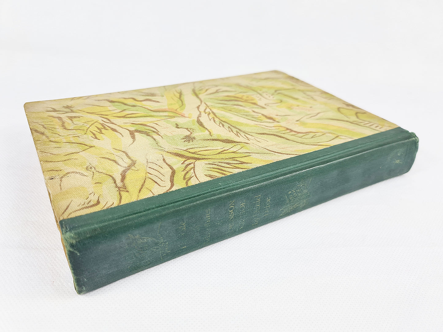 The Life And Adventures Of Robinson Crusoe by Daniel Defoe. Antique childrens book first edition second printing. Rainbow Classics hardcover