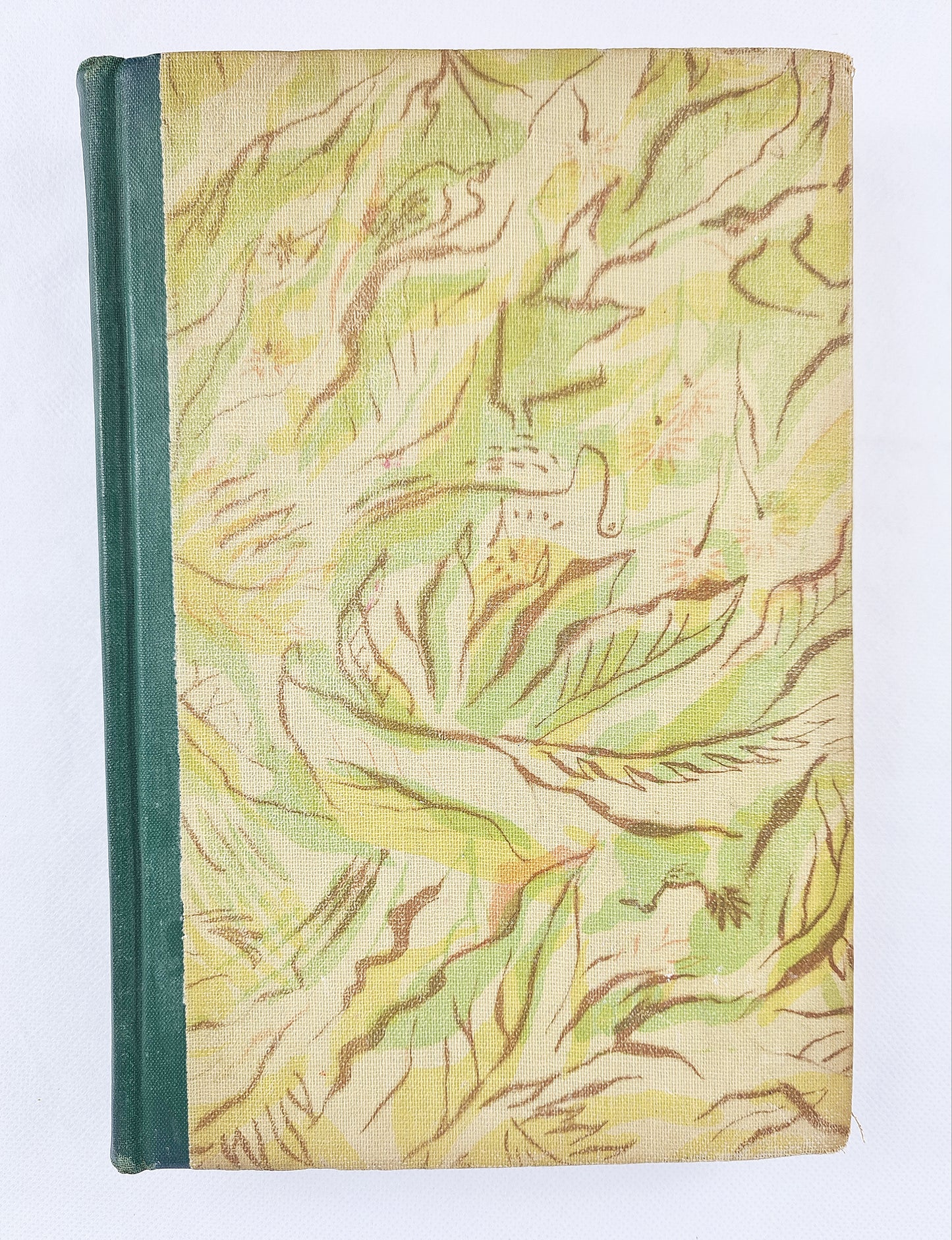 The Life And Adventures Of Robinson Crusoe by Daniel Defoe. Antique childrens book first edition second printing. Rainbow Classics hardcover