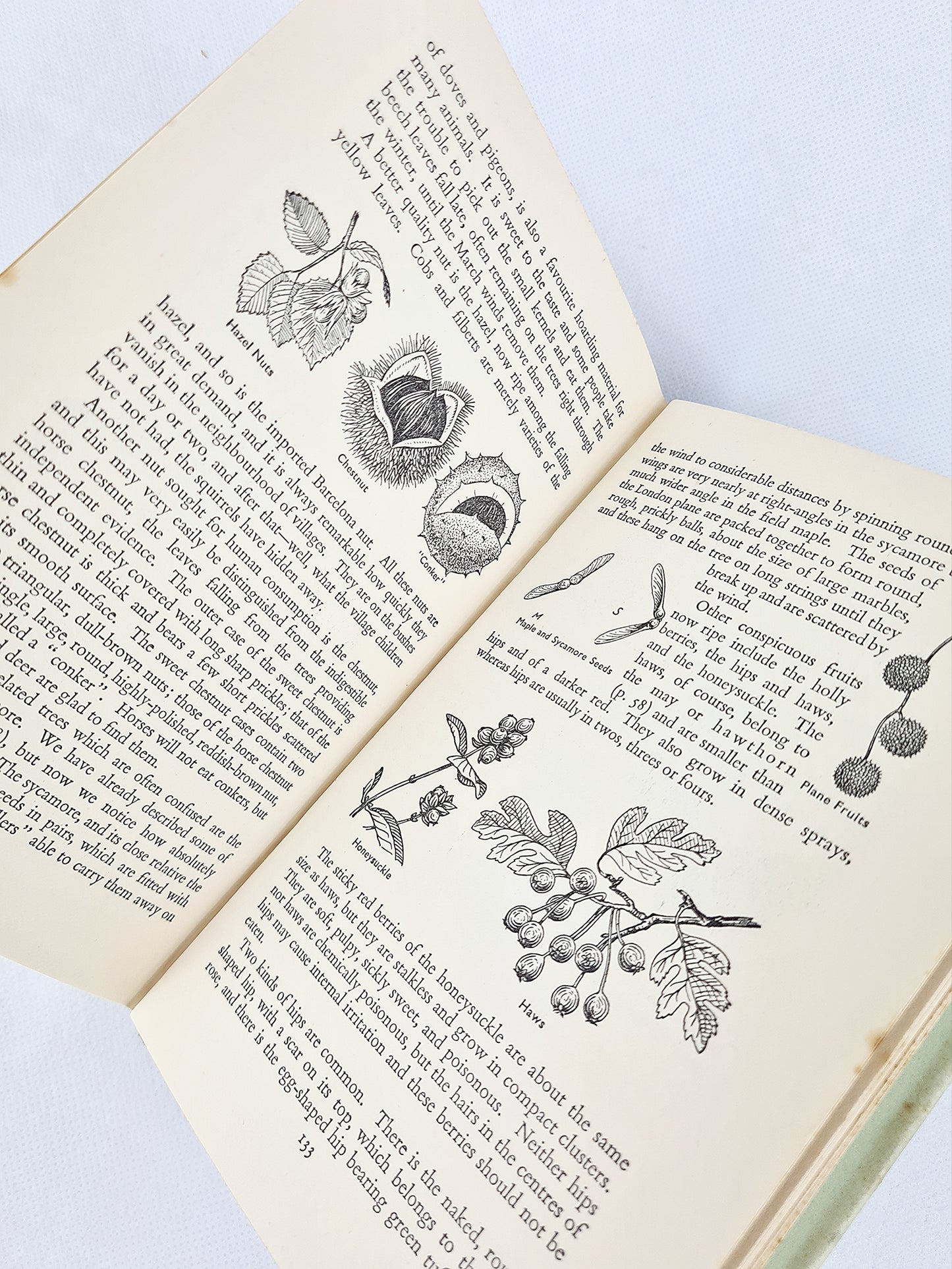 The Countryside Round The Year by Walter Shepherd. Vintage nature book 1953