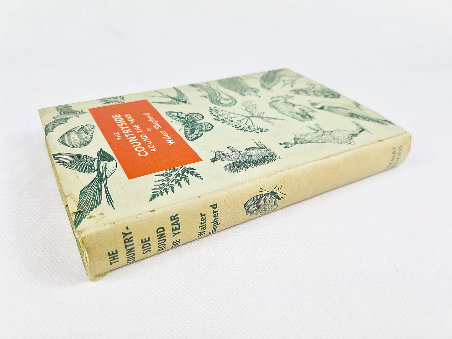 The Countryside Round The Year by Walter Shepherd. Vintage nature book 1953