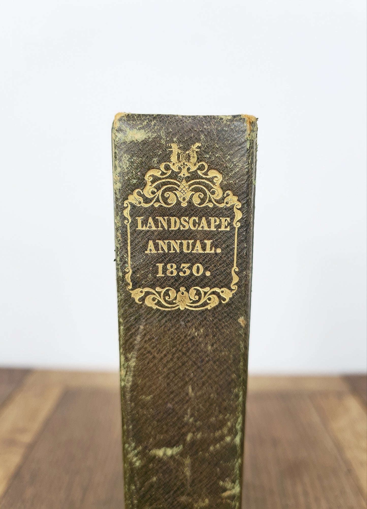 The Landscape Annual 1830, The Tourist in Switzerland and Italy by Thomas Roscoe.