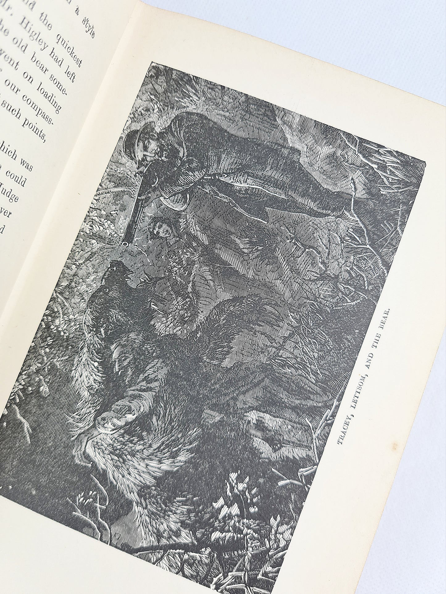 Half Hours In Woods And Wilds, Decorative antique travel and nature book 1905