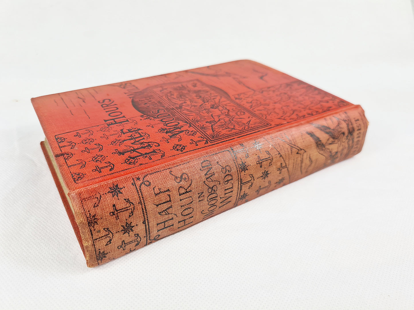 Half Hours In Woods And Wilds, Decorative antique travel and nature book 1905