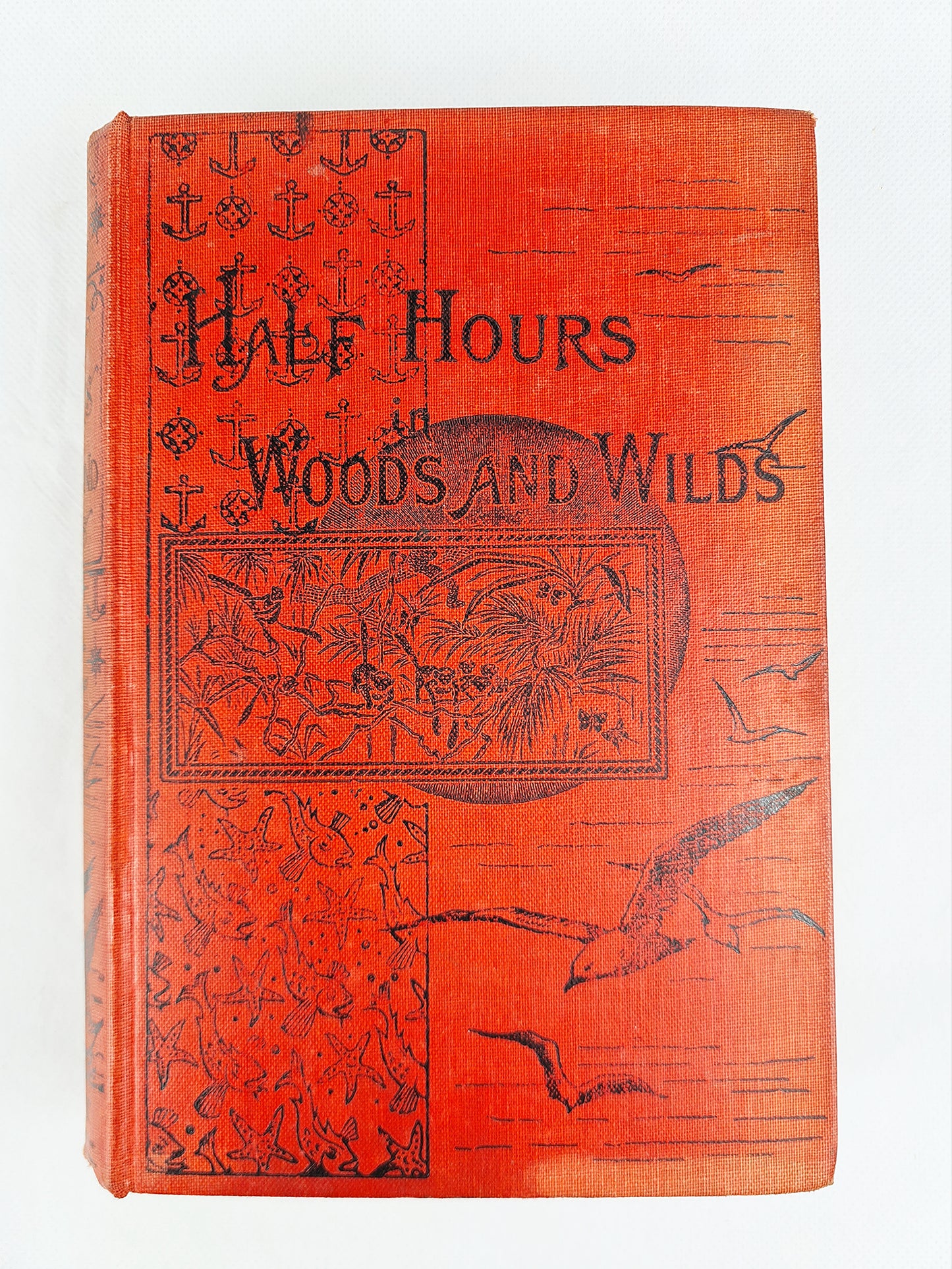 Vintage nature book with a red decorative cover design 