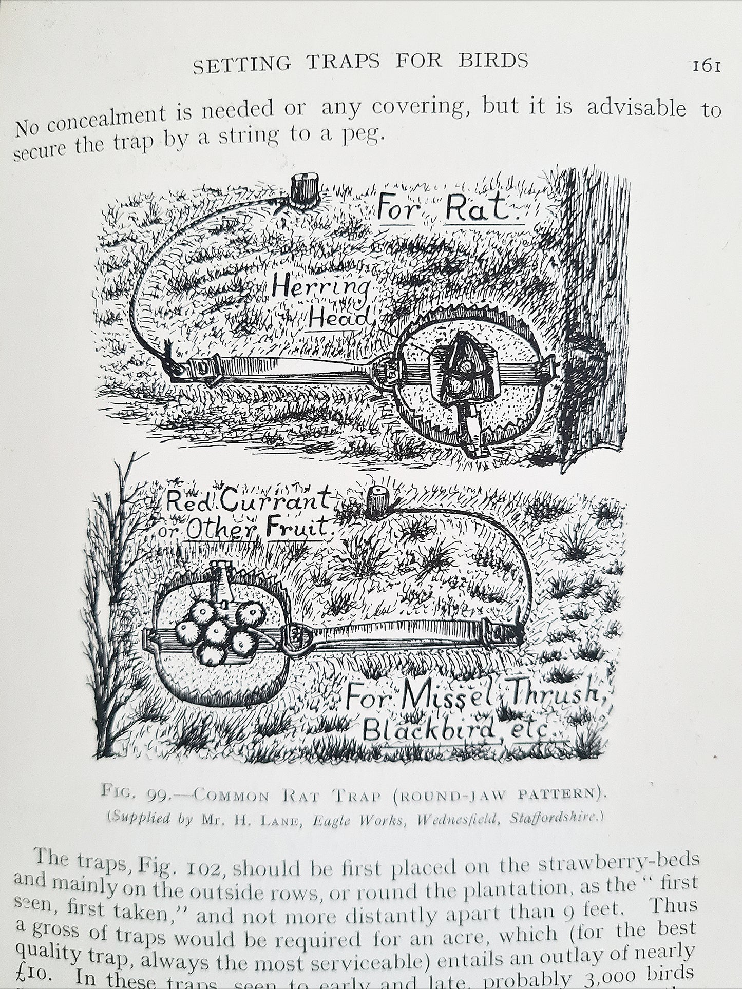 The Balance of Nature by George Abbey. A practical manuel of animals, foes, and friends. Antique nature book.