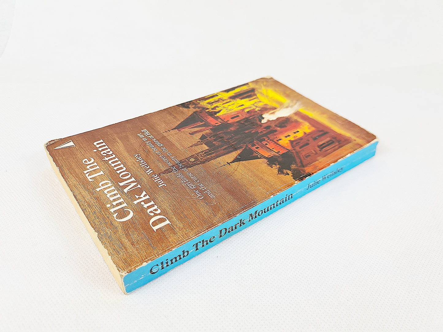 Climb The Dark Mountain, Julie Wellsley
