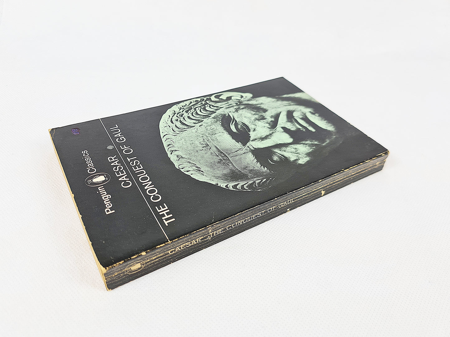 The Conquest Of Gaul, Julius Caesar