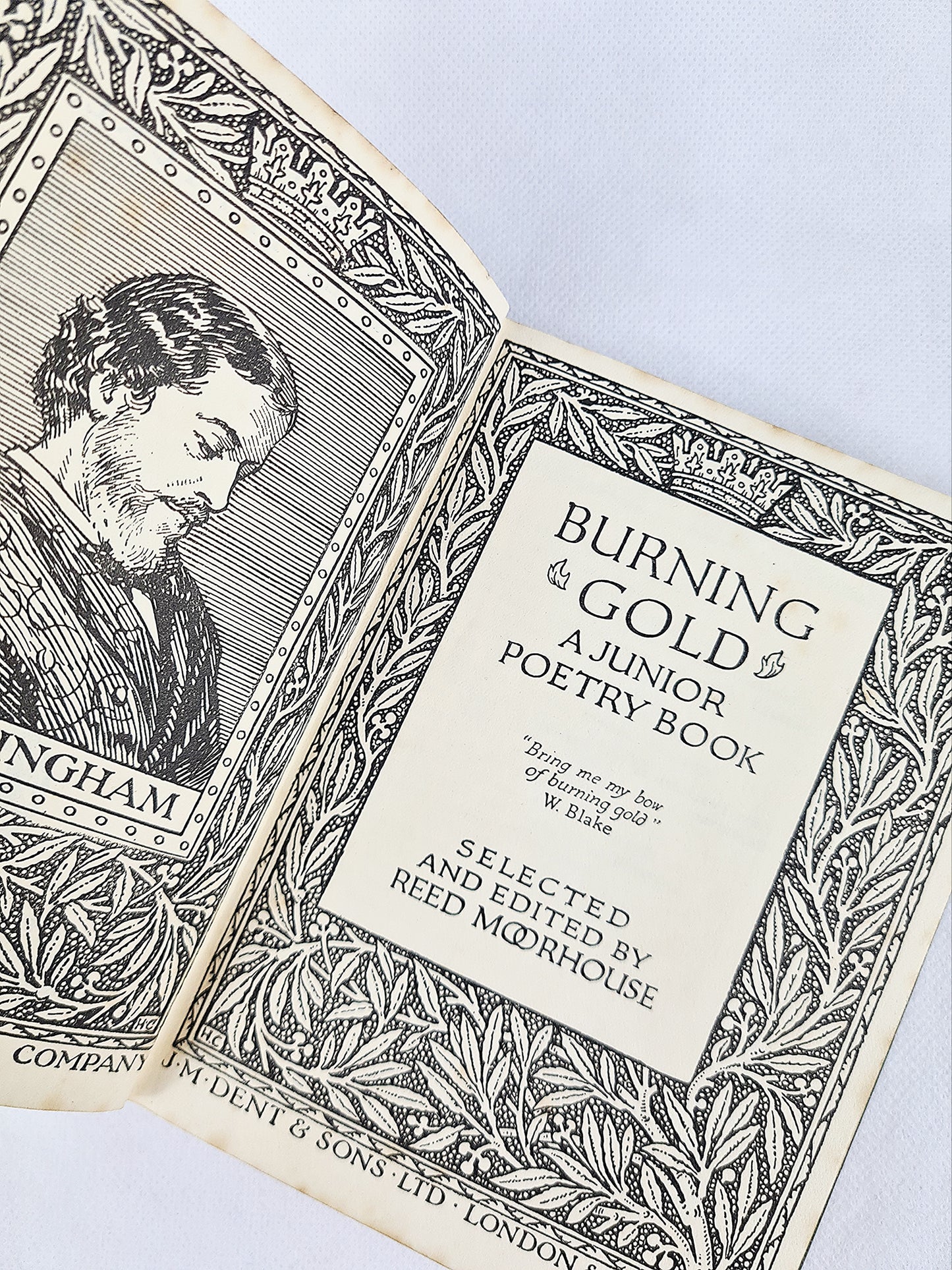 Burning Gold, A Collection Of Classic Poetry