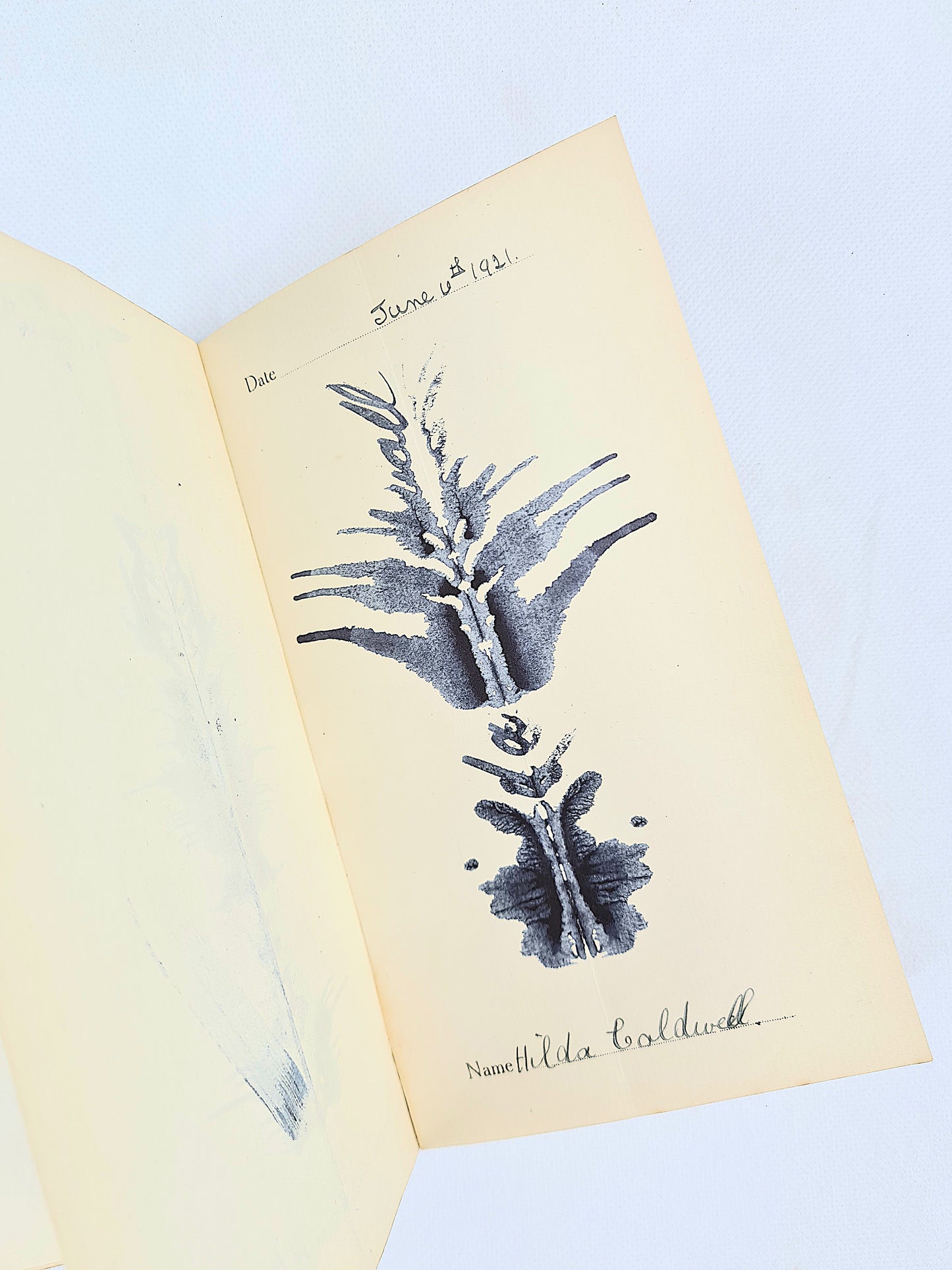 The Ghosts of My Friends by Cecil Henland. Antique book.