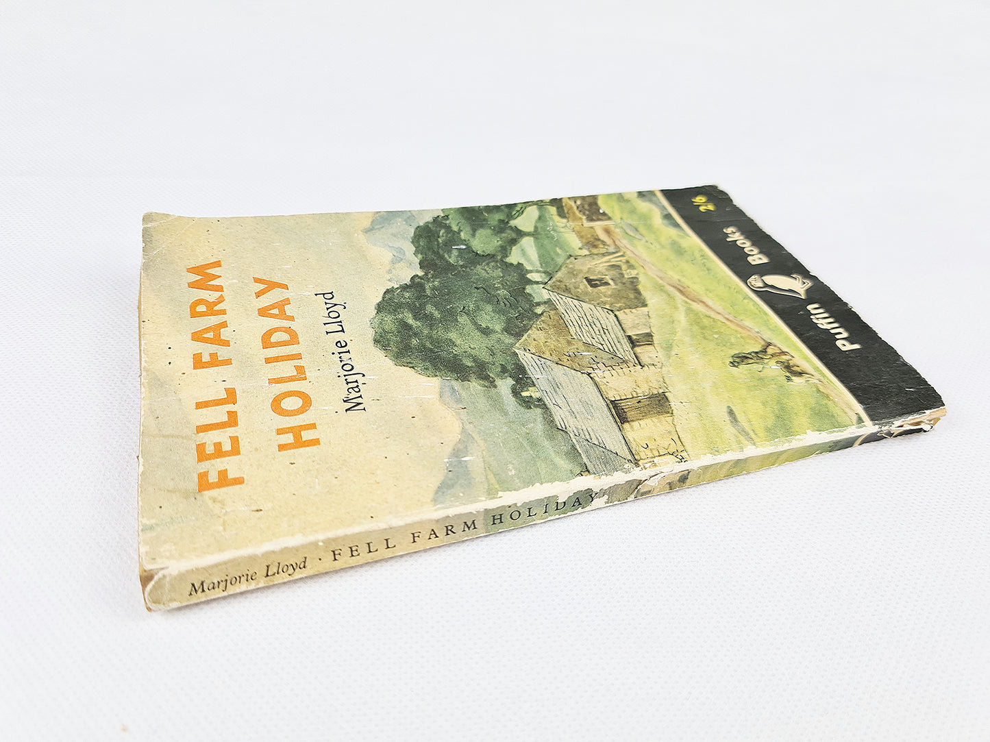 Fell farm holiday, old book 