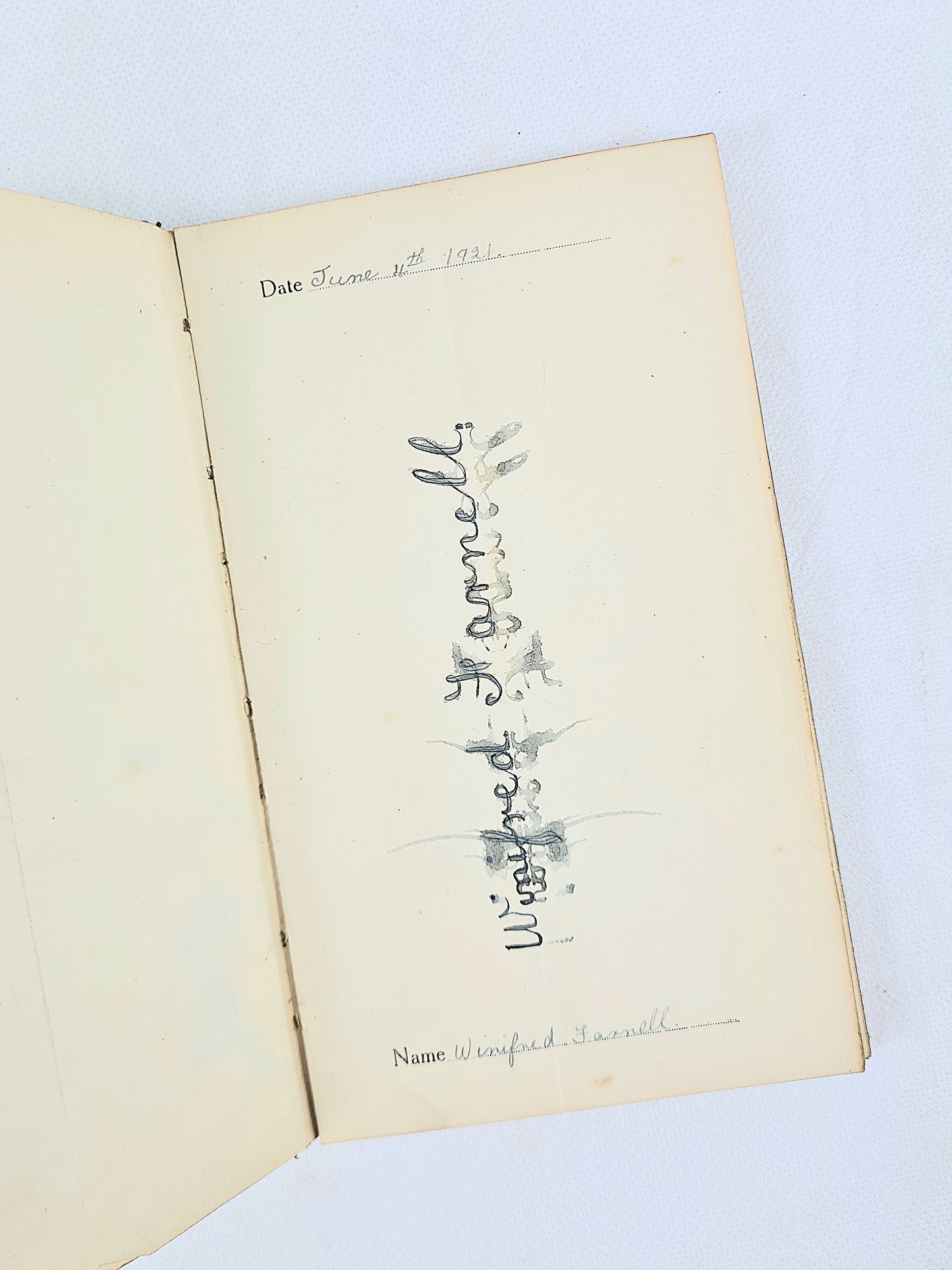 The Ghosts of My Friends by Cecil Henland. Antique book.