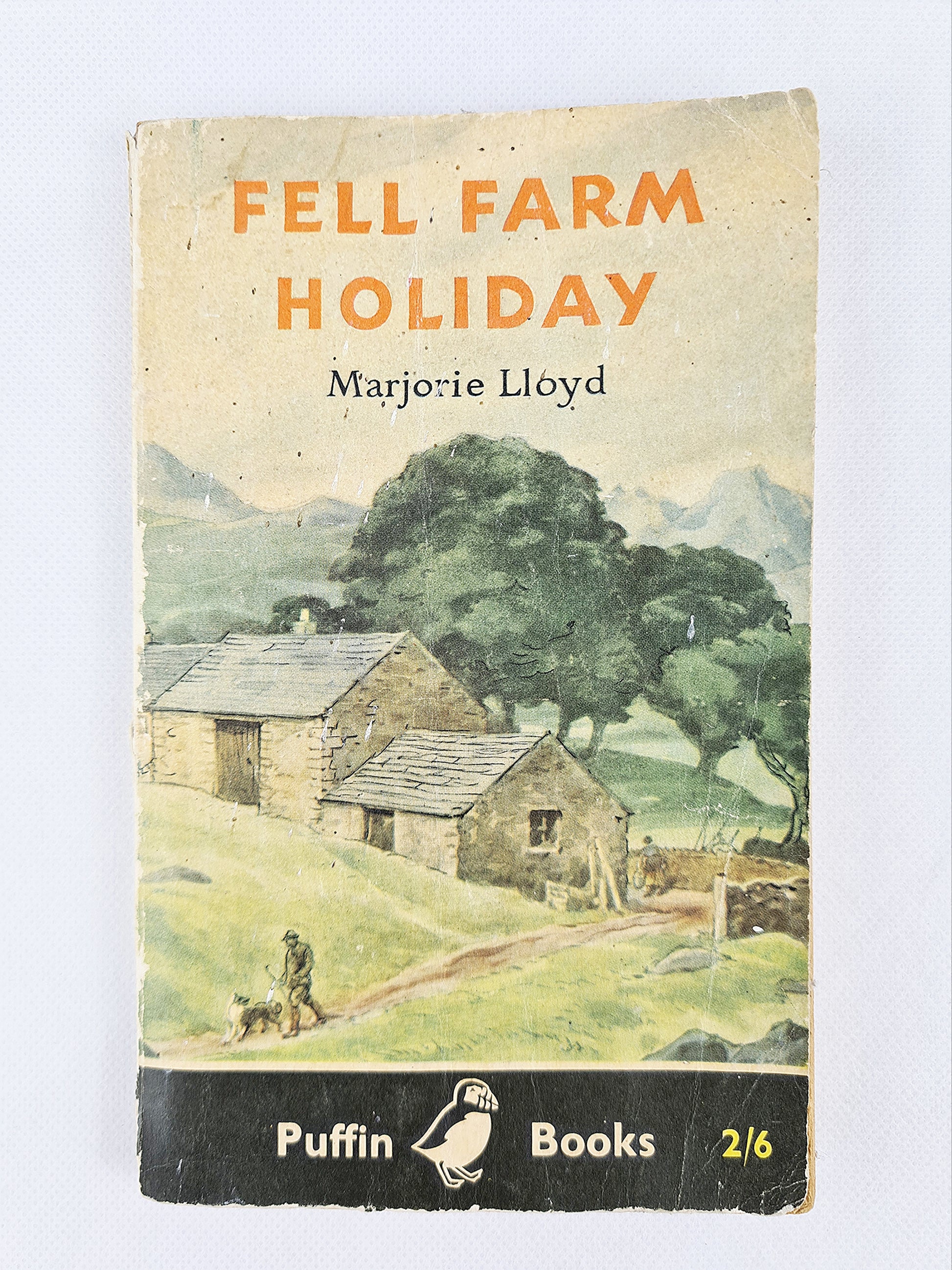 Fell farm holiday, vintage puffin book 